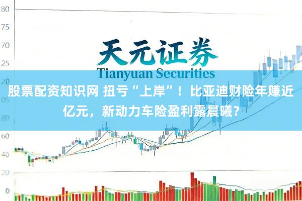 股票配资知识网 扭亏“上岸”！比亚迪财险年赚近亿元，新动力车险盈利露晨曦？