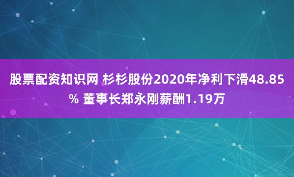 股票配资知识网 杉杉股份2020年净利下滑48.85% 董事长郑永刚薪酬1.19万