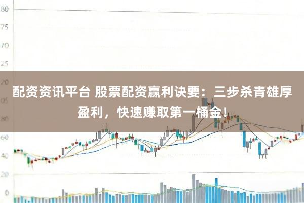 配资资讯平台 股票配资赢利诀要：三步杀青雄厚盈利，快速赚取第一桶金！
