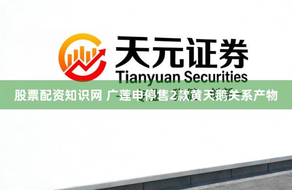 股票配资知识网 广莲申停售2款黄天鹅关系产物