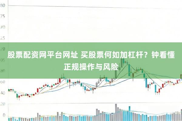 股票配资网平台网址 买股票何如加杠杆？钟看懂正规操作与风险