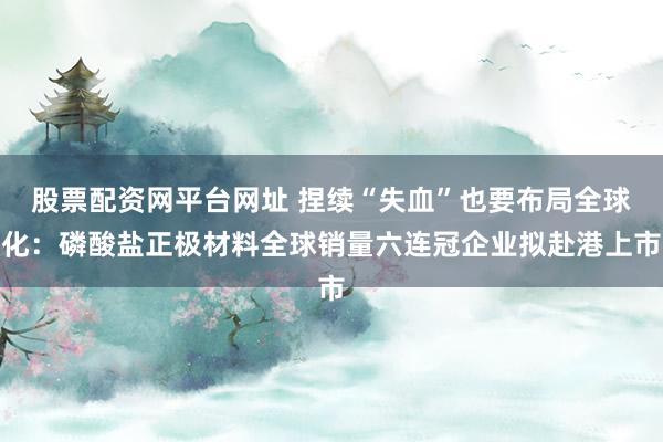 股票配资网平台网址 捏续“失血”也要布局全球化：磷酸盐正极材料全球销量六连冠企业拟赴港上市