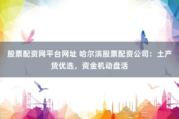 股票配资网平台网址 哈尔滨股票配资公司：土产货优选，资金机动盘活